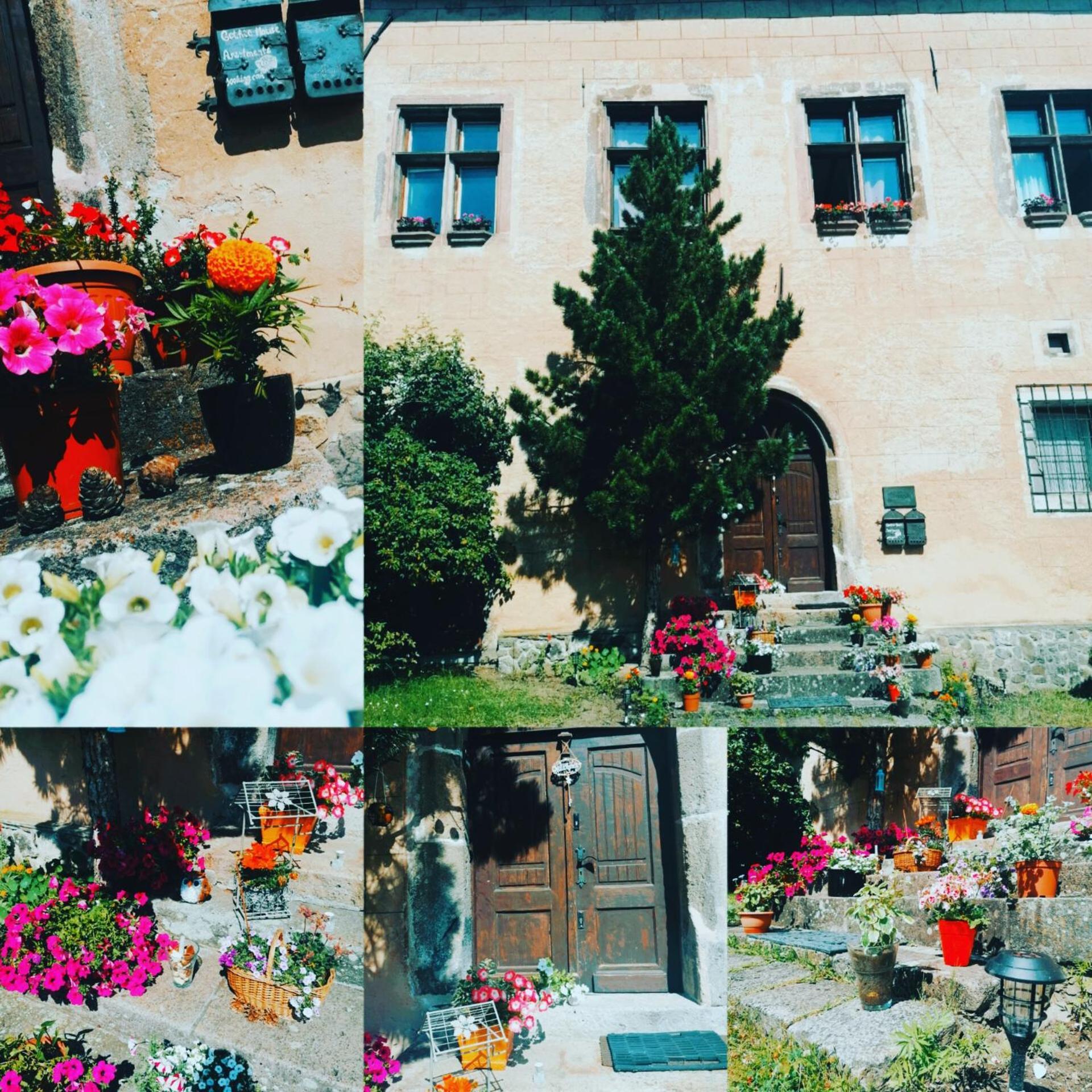 Gothic House Apartments Kremnica Exterior foto